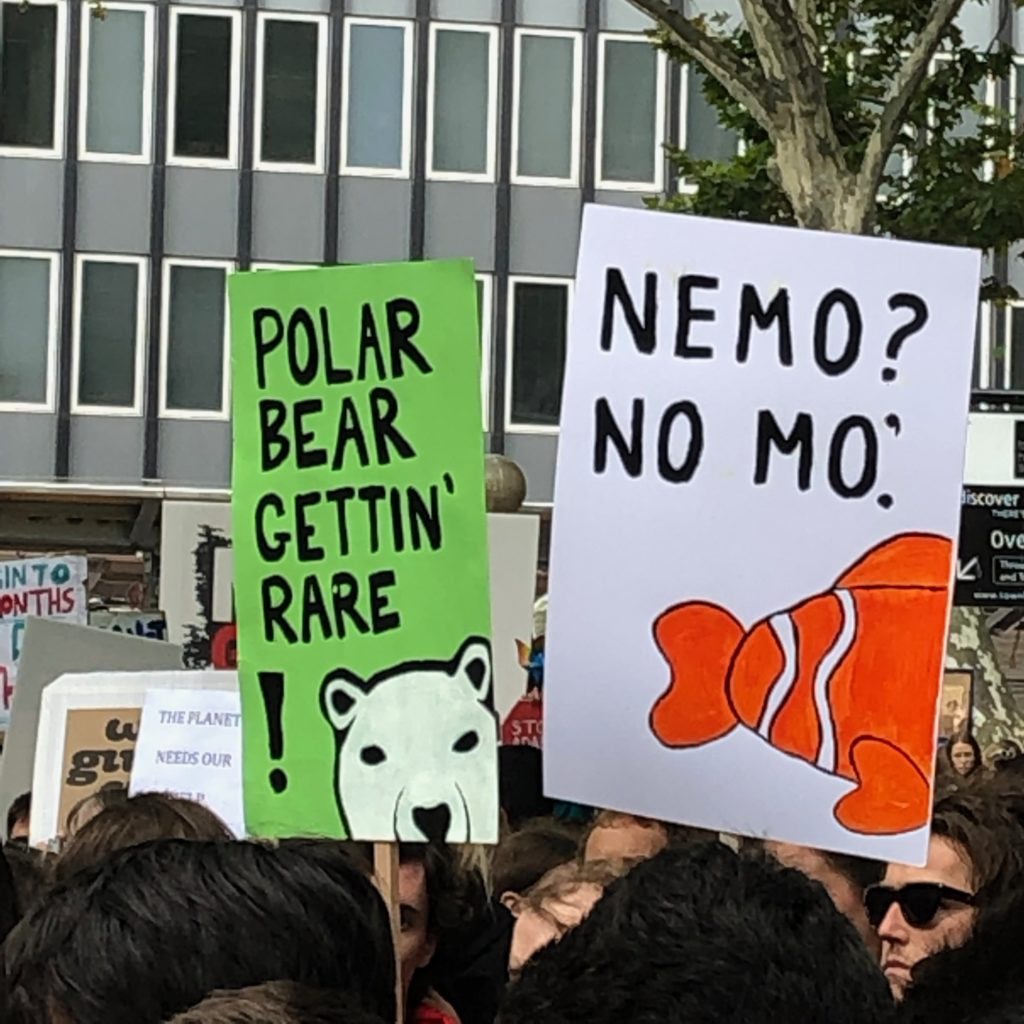 A crowd of people holding placards at Sydney Town Hall protesting against inaction on climate change. Signs held by protesters read 'Polar bear gettin' rare' and 'Nemo? No mo.'